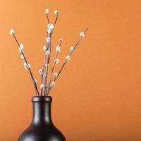few pussy-willow twigs in ceramic bottle on brown photo