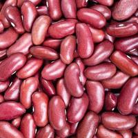 raw kidney beans close up photo