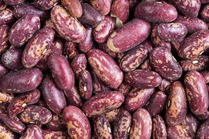 background - raw red spotted pinto beans