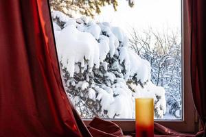 vista del pino nevado en el patio trasero en la ventana foto