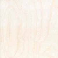 square background - surface of birch plywood photo