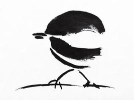 sparrow on twig drawn by black indian ink photo