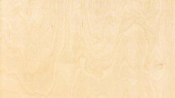 panoramic surface of natural wood birch plywood photo