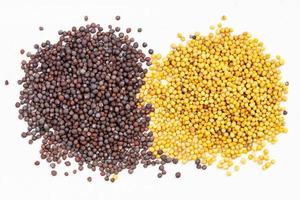 piles of yellow and brown mustard seeds on gray photo