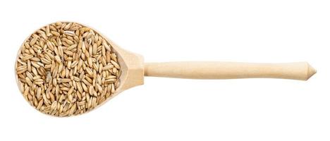 top view of wood spoon with unpolished oat grains photo