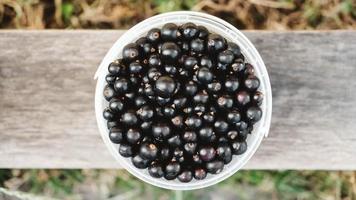 Blackcurrant in a plastic bucket on a wooden shelf photo