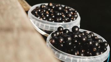 Blackcurrant in a plastic buckets on a wooden shelf photo