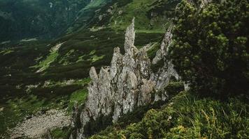 hermoso paisaje montañoso de los cárpatos, montañas verdes y acantilados shpytsi foto