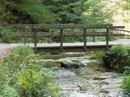 creek in the black forest photo