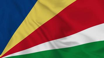 drapeau ondulant réaliste de la république des seychelles. vidéo 4k en boucle fluide et fluide video