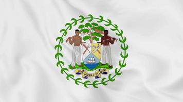 national emblem coat of arms or symbol of belize in waving flag. smooth 4k video seemless loop