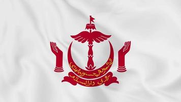 national emblem coat of arms or symbol of brunei darussalam in waving flag. smooth 4k video seemless loop