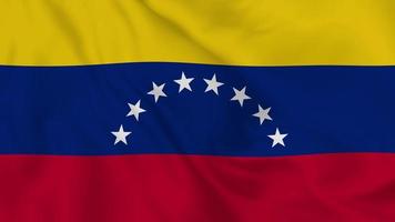 Bolivarian Republic of Venezuela realistic waving flag. smooth seamless loop 4k video