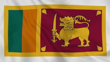 Socialist Republic of Sri Lanka realistic waving flag. smooth seamless loop 4k video