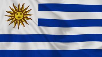 drapeau ondulant réaliste de la république orientale de l'uruguay. vidéo 4k en boucle fluide et fluide video