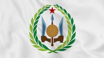 escudo de armas del emblema nacional o símbolo de djibouti en bandera ondeante. Bucle suave de video 4k sin problemas