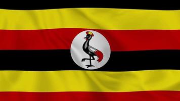 epublic de uganda bandeira de ondulação realista. vídeo 4k de loop sem costura suave video