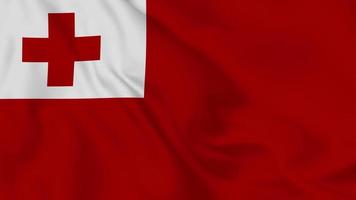 Kingdom of Tonga realistic waving flag. smooth seamless loop 4k video