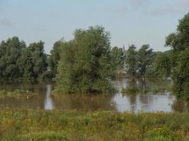 the river rhine near bislich photo