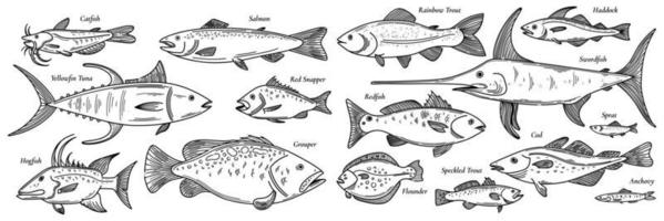 Doodle fishes, hand drawn fish flock set vector illustration isolated on white. Sea animals sketched icon collection