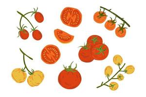 un conjunto de tomates frescos y jugosos. el conjunto contiene tomates y tomates cherry, enteros y en rodajas. alimentos sanos y naturales vector