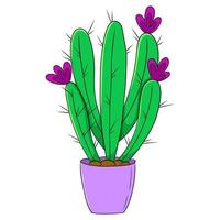 Colorful cactus doodle illustration set. vector