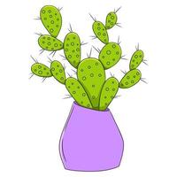 conjunto de ilustración de doodle de cactus colorido. vector