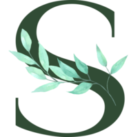 Watercolor Green Leaf with Alphabet png