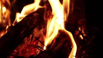 fogueira queimando lenha no acampamento ao ar livre à noite com fundo desfocado e foco sensível. video