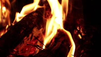 vreugdevuur brandend brandhout op kamperen 's nachts buiten met onscherpe achtergrond en gevoelige focus. video