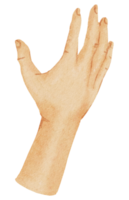 geste des mains aquarelle png