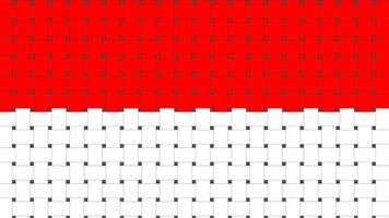 Indonesia flag with pattern sytle vector