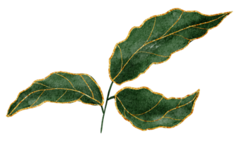 fiore con acquerello oro png