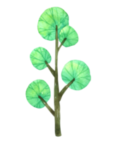 simpatico cartone animato dell'acquerello dell'albero png