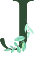 akvarell gröna blad med alfabetet png