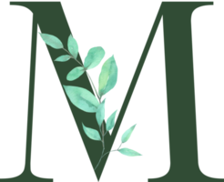 Aquarell grünes Blatt mit Alphabet png