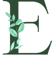 Watercolor Green Leaf with Alphabet png