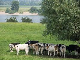 Xanten city and the river rhine photo