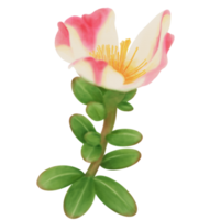 tropische blume in pusley blume in dekorativem aquarell png