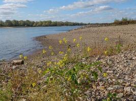 the river rhine near wesel photo