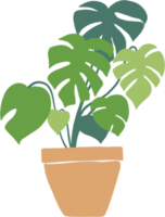 Einfachheit Monstera-Pflanze Freihand-Zeichnung flaches Design. png