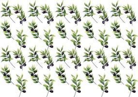 Green and black Olives pattern vector
