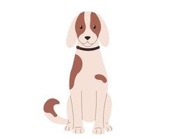 Funny spotted dog . White dog with brown spots vector