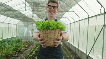 A Caucasian male farmer looks and gives basket of fresh vegetables to camera with a happy smile in plantation greenhouse. Gardener man collects natural organic produce from agriculture nursery crops.