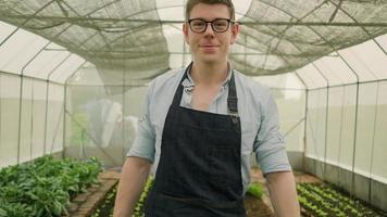 One Caucasian male farmer in eyeglasses funny teases, spraying water from foggy to camera with happy smile in plantation greenhouse. Gardener with natural organic produce of agriculture nursery. video