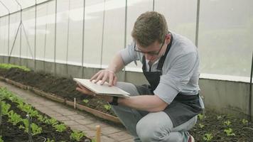 een moderne mannelijke boer experimenteert met laptop in plantagekas. tuinman man controleert en inspecteert groentegroei, landbouwkwekerijgewassen en vers biologisch groen natuurproduct. video