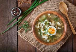 sopa verde de acedera foto