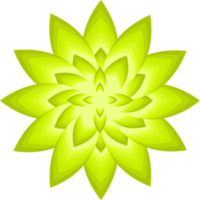 flor pétalo botánico hoja planta ornamento decorativo abstracto fondo arte gráfico diseño modelo ilustración png