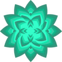 flor flor pétala botânica folha planta ornamento decorativo abstrato arte design gráfico ilustração padrão png