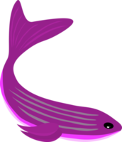 Whale dolphin fish swim underwater sea for decorative png